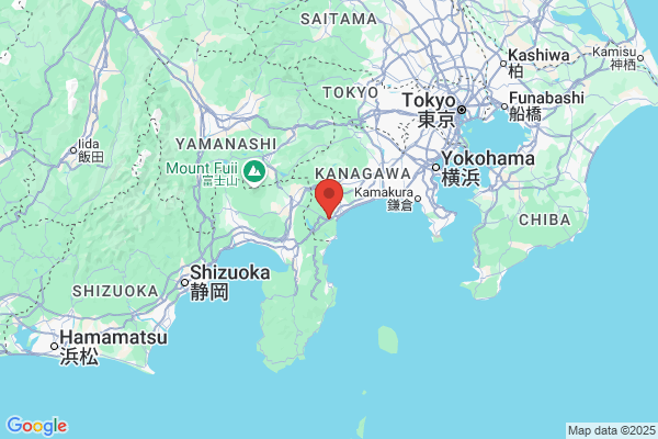 Google Map preview of Hakone Onsen City tattoo-friendly onsen in Japan