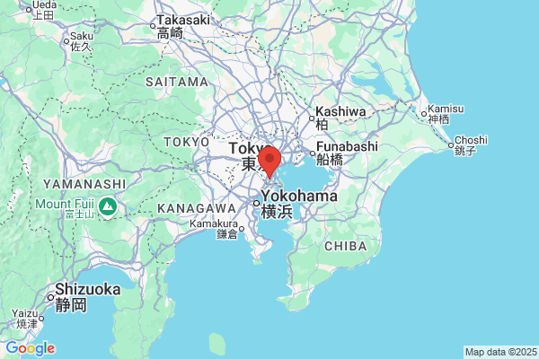 Google Map preview of Ota City tattoo-friendly onsen in Japan